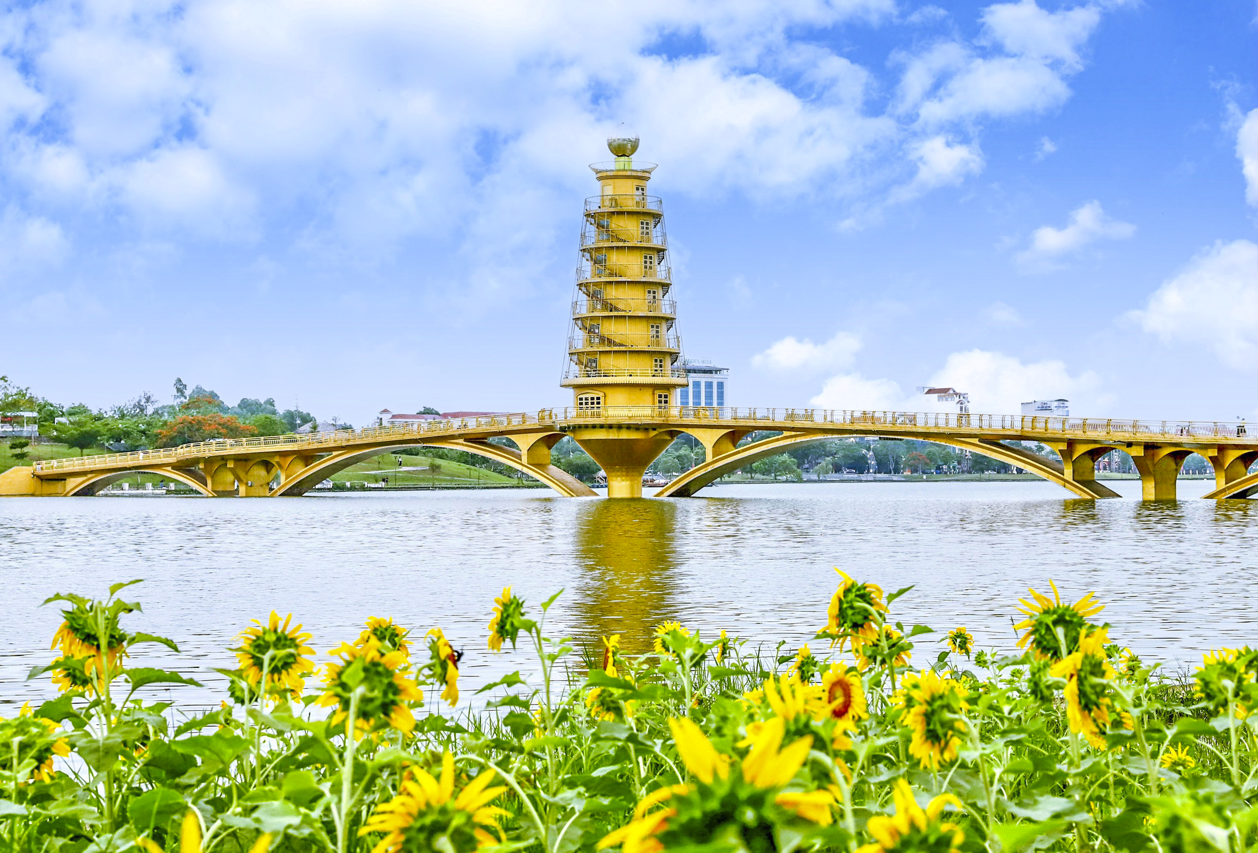 Đón nắng với hoa hướng dương vàng rực Công viên Văn Lang