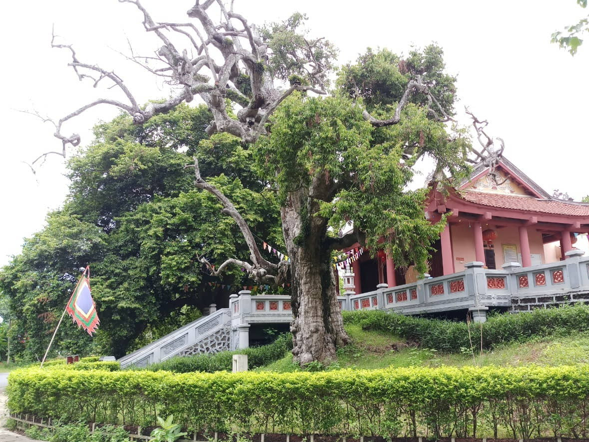 Đền Thiên cổ