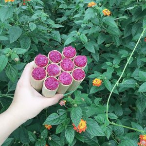 Cơm lam – Ẩm thực sắc màu Vườn quốc gia Xuân Sơn