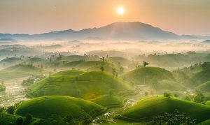 Đồi chè Long Cốc và Vườn quốc gia Xuân Sơn – địa chỉ du lịch hấp dẫn