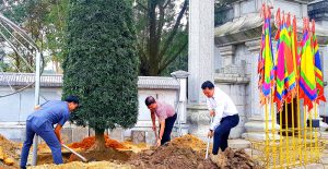 Hội Doanh nhân trẻ Quảng Ninh trồng cây tại Đền Mẫu Âu Cơ