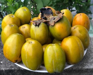Hồng Hạc Trì- Hương vị Đất Tổ