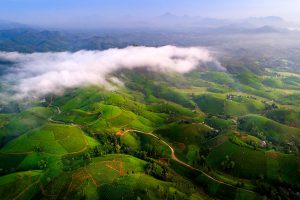 LONG CỐC – ĐỒI CHÈ TIÊN CẢNH GIỮA VÙNG ĐẤT TỔ
