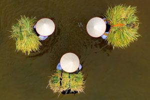 LONG CỐC – KHẢ CỬU, NHỮNG ĐIỂM ĐẾN HẤP DẪN TRONG HÀNH TRÌNH PHOTOTOUR