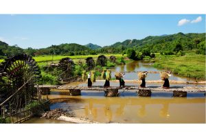 Măng chua nấu thịt gà