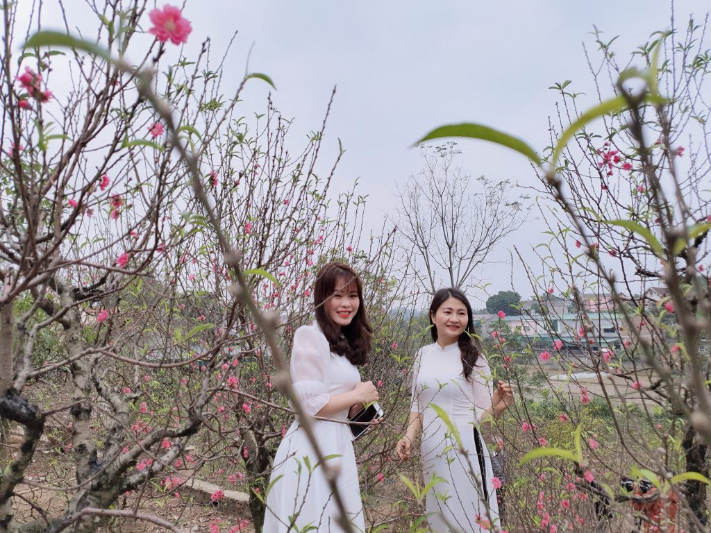 Làng nghề hoa đào nhà Nít rộn ràng sắc xuân