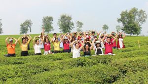 Những chuyển biến trong hoạt động tour, tuyến du lịch trên địa bàn