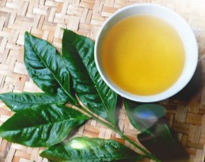 Nước uống chè xanh Phú Thọ, đậm đà hương vị Trung du.
