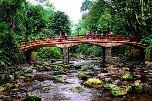 Phát triển du lịch cộng đồng bền vững tại Vườn quốc gia Xuân Sơn