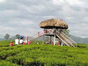 Sở Văn hóa, Thể thao và Du lịch Phú Thọ tổ chức nhiều hoạt động chào mừng ngày Quốc tế Thiếu nhi mùng 1/6