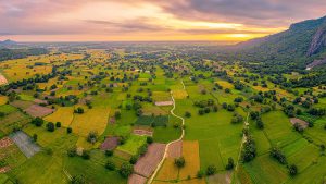 Sức hút đặc biệt từ du lịch nông nghiệp nông thôn