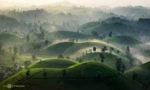 Sương vờn mây trên đồi chè Long Cốc