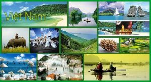 Tọa đàm trực tuyến “Quảng bá du lịch: Cần những bước đột phá”