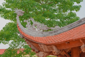 Đình Đình Chu
