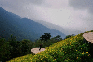 Cầu mây Tam Đảo