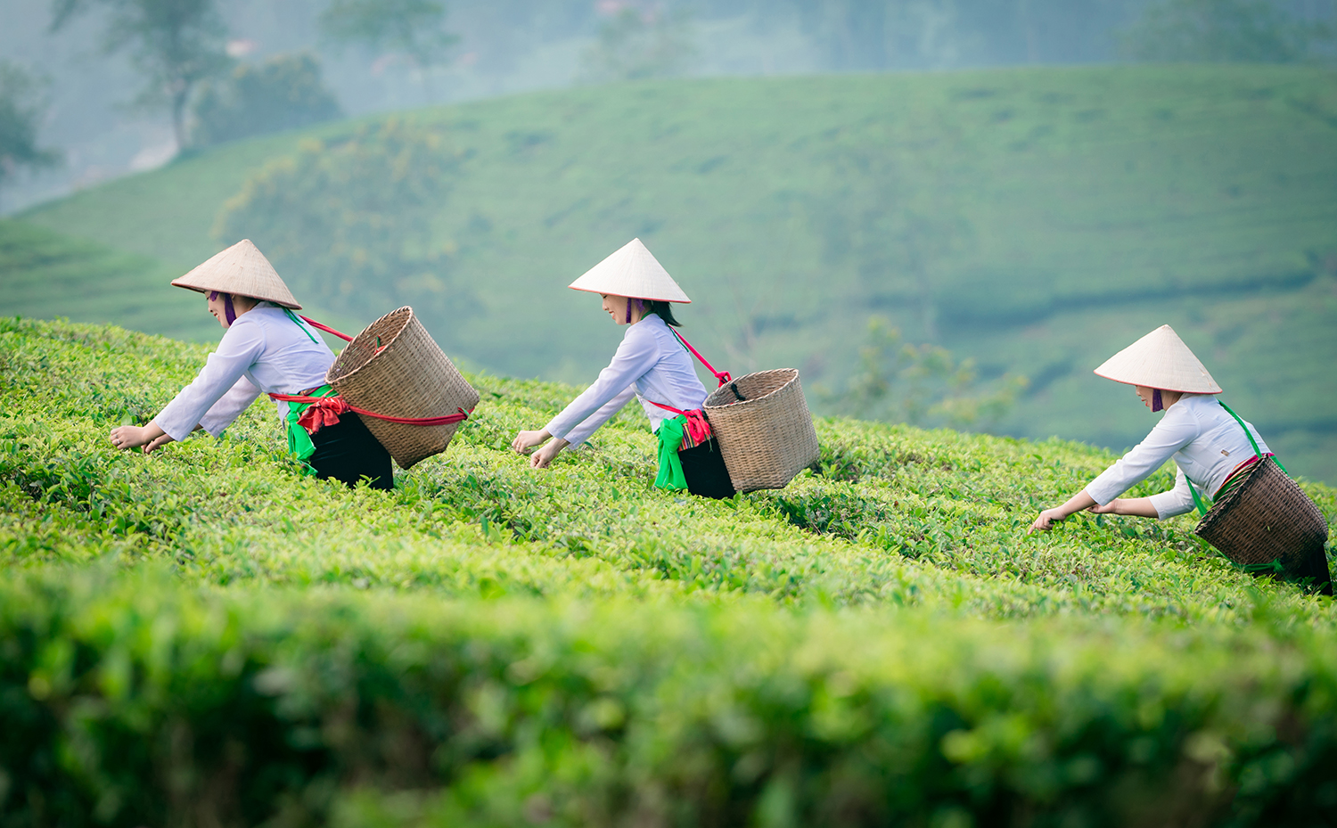 ĐỀN HÙNG – LONG CỐC – THANH THỦY – HỒ HÒA BÌNH – MAI CHÂU