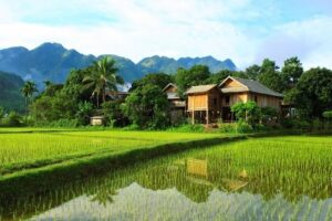 THUNG LŨNG MAI CHÂU