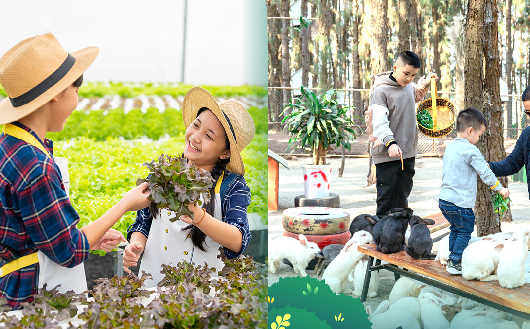 Nghỉ dưỡng 2N1Đ tại Flamingo Đại Lải