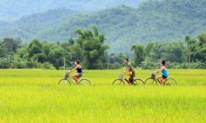 Phường Hoà Bình – Phường Thống Nhất – Xã Tiền Phong 5N4Đ