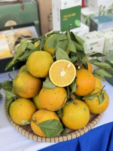 Cam Cao Phong, hương vị đất Mường