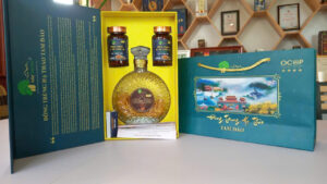 Đông trùng hạ thảo Tam Đảo