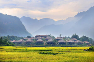 Mai Châu mùa em thơm nếp xôi