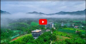 Video các đơn vị tham gia kích cầu du lịch