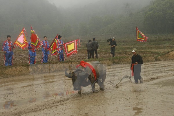 Lễ hội xuống đồng