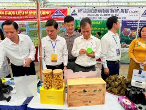 Lan tỏa sắc màu du lịch Đất Tổ, kết nối sản phẩm đặc trưng và mở rộng cơ hội hợp tác liên vùng