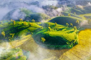 Phú Thọ – Một điểm đến, bốn mùa trải nghiệm